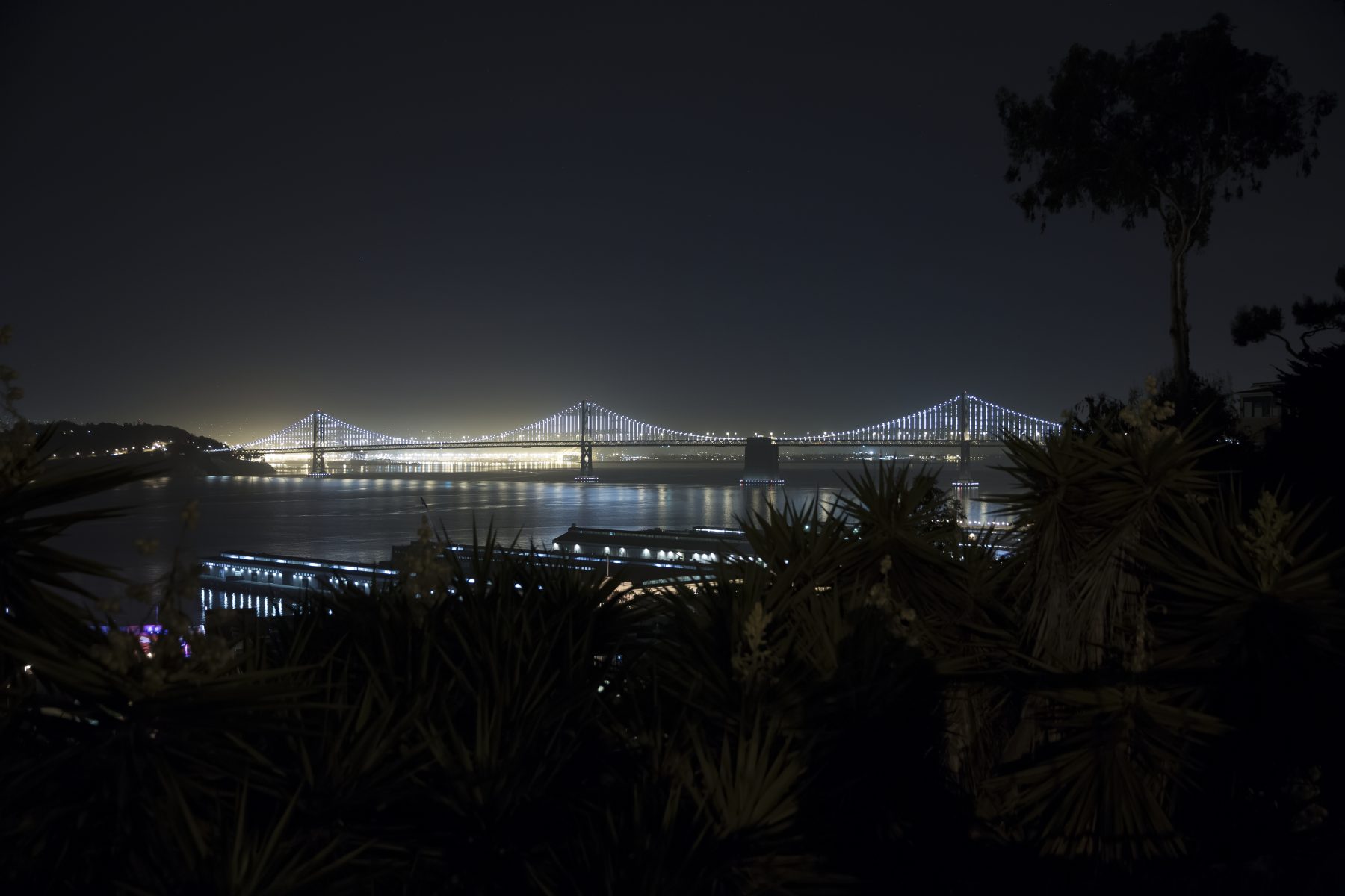 The Bay Lights by Leo Villareal, photo by James Ewing
